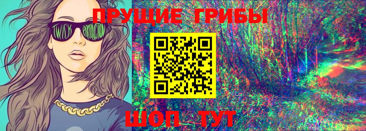 Ноябрьск  Псилоцибиновые грибы GOLDEN TEACHER  наркошоп  Псилоцибиновые грибы GOLDEN TEACHER  Вход с VPN 