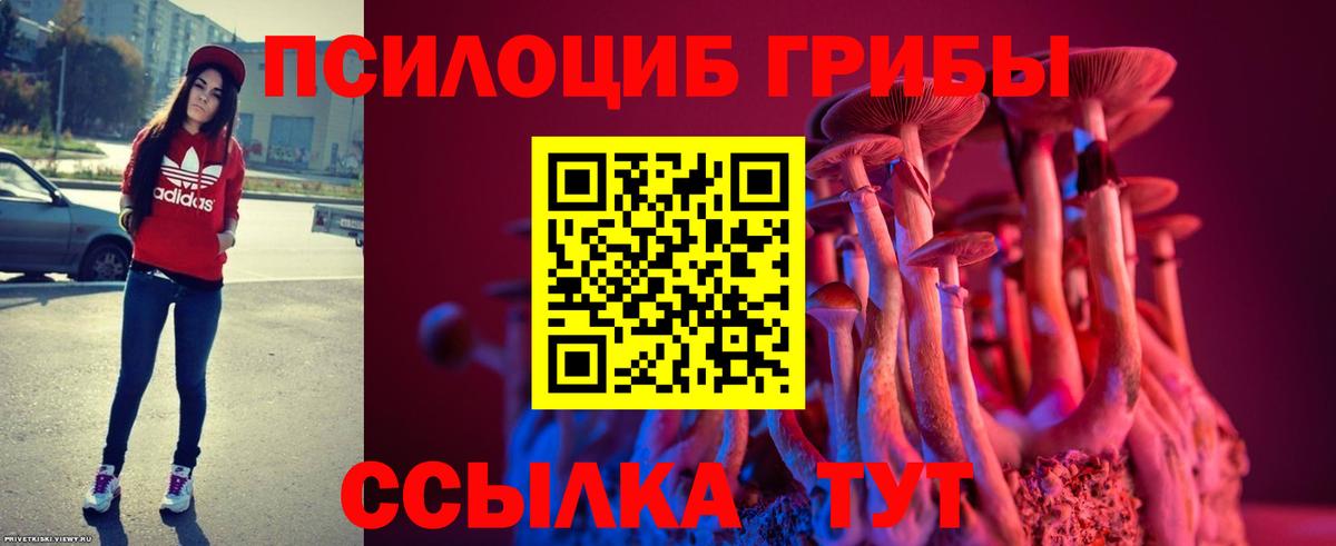 Галлюциногенные грибы MAGIC MUSHROOMS Ноябрьск